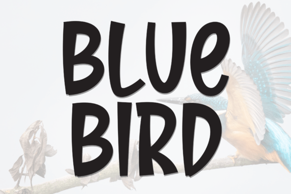 Blue Bird Font - Featured Image