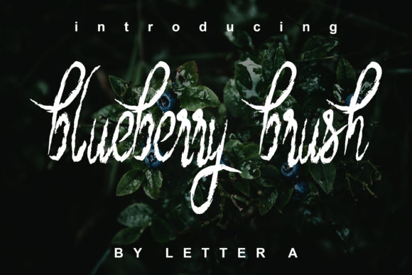 Blueberry Brush Font - Featured Image