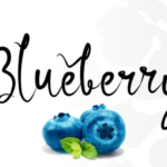 Blueberry Font - Featured Image