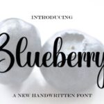 Blueberry Font - Featured Image