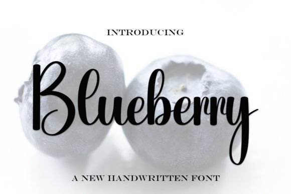 Blueberry Font - Featured Image