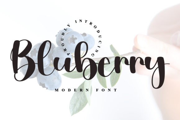 Blueberry Font - Featured Image
