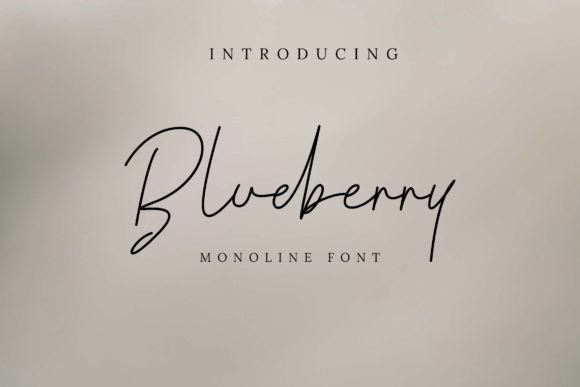 Blueberry Font - Featured Image