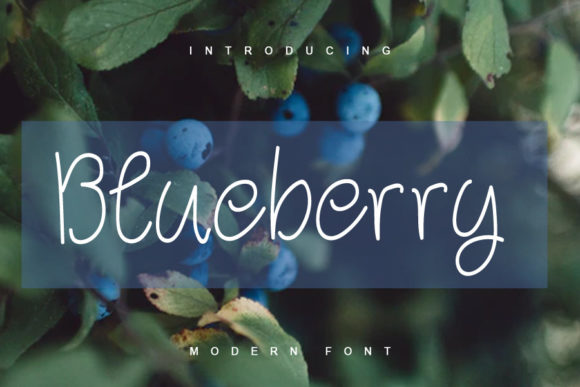 Blueberry Font - Featured Image