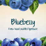 Blueberry Font - Featured Image