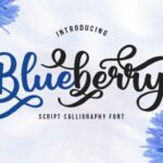 Blueberry Script Font - Featured Image