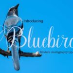 Bluebird Font - Featured Image