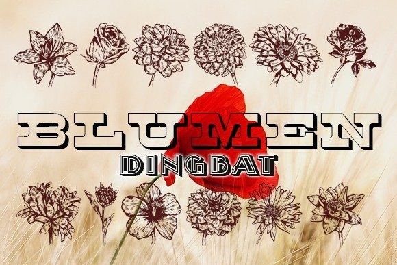 Blumen Font - Featured Image