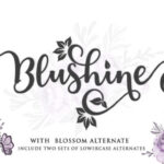 Blushine Script Font - Featured Image
