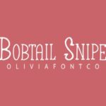 Bobtail Snipe Font - Featured Image