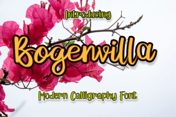 Bogenvilla Font - Featured Image