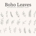Boho Leaves Font - Featured Image
