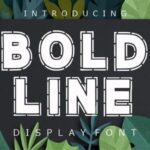 Bold Line Font - Featured Image