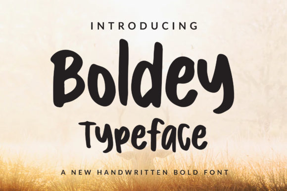Boldey Font - Featured Image