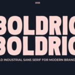 Boldric Font - Featured Image