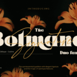 Bolmand Signature Font - Featured Image