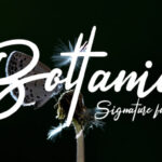 Boltania Font - Featured Image