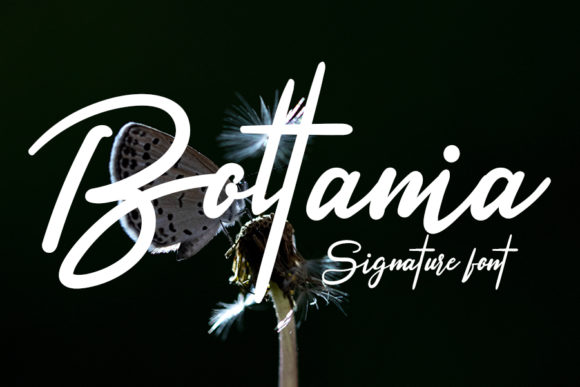 Boltania Font - Featured Image