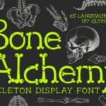 Bone Alchemy Font - Featured Image