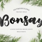 Bonsay Brush Font - Featured Image
