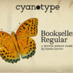 Bookseller Bk Regular Font - Featured Image
