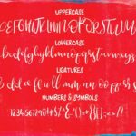 Boom & Farrow Font - Featured Image