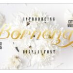Bornena Font - Featured Image