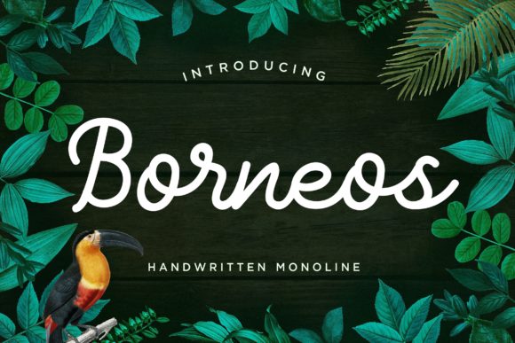 Borneos Font - Featured Image