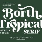 Borth Tropical Font - Featured Image