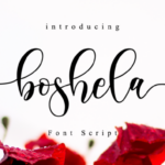 Boshela Script Font - Featured Image