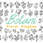 Botani Font - Featured Image