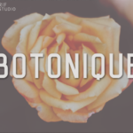 Botonique Font - Featured Image