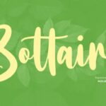 Bottairs Font - Featured Image