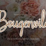 Bougenvile Font - Featured Image