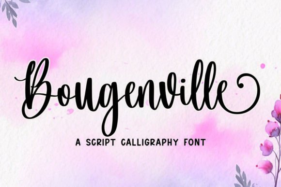 Bougenville Font - Featured Image