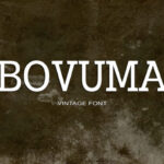 Bovuma Font - Featured Image