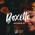 Boxette Font - Featured Image