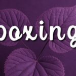 Boxing Font - Featured Image
