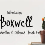 Boxwell Font - Featured Image