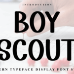 Boy Scout Font - Featured Image