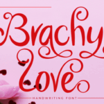Brachy Love Font - Featured Image