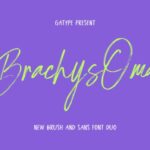 Brachys Oma Font - Featured Image