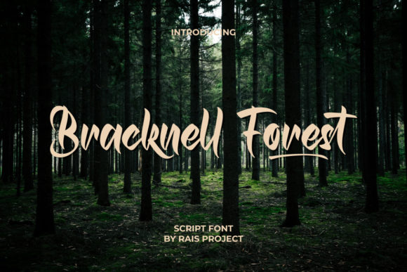 Bracknell Forest Font - Featured Image