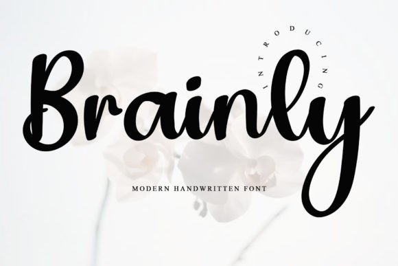 Brainly Font - Featured Image