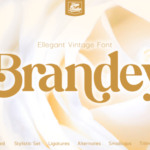 Brandey Font - Featured Image