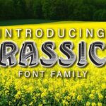 Brassica Font - Featured Image