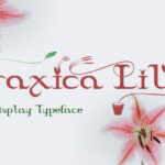 Braxica Lily Font - Featured Image