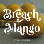 Breach Mango Font - Featured Image
