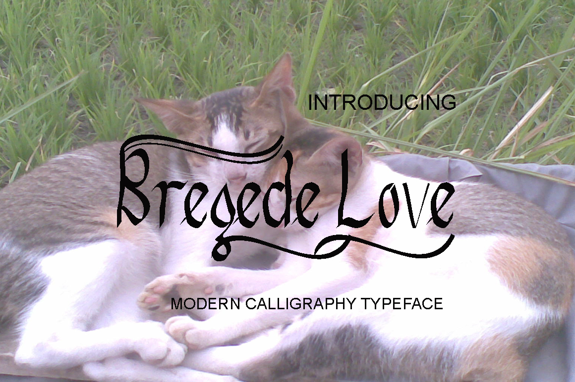 Bregede Love Font - Featured Image