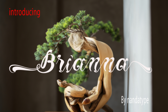 Brianna Font - Featured Image